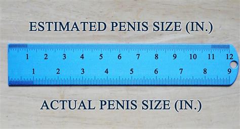 long cock pics|Shown Actual Size: A Penis Shape & Size Lowdown